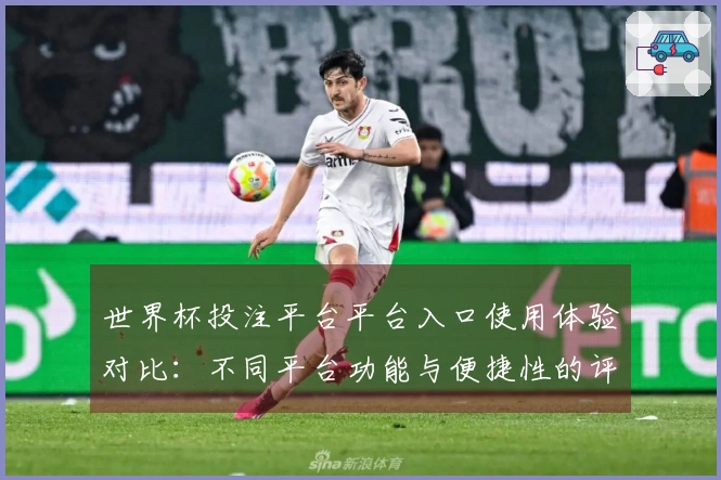 世界杯投注平台平台入口使用体验对比：不同平台功能与便捷性的评测分析