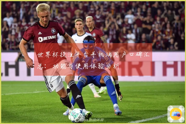 世界杯投注平台手机端用户口碑汇总：功能与使用体验分析