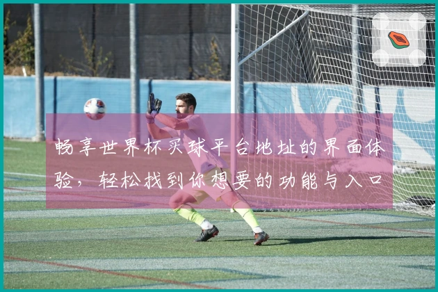 畅享世界杯买球平台地址的界面体验,轻松找到你想要的功能与入口