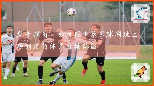 新手指南：如何在中欧买球网址上顺利进行体育直播体验