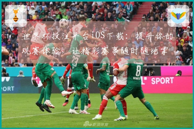 世界杯投注平台iOS下载：提升你的观赛体验，让精彩赛事随时随地掌握
