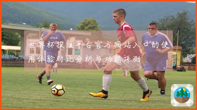 世界杯投注平台官方网站入口的使用体验对比分析与功能评测