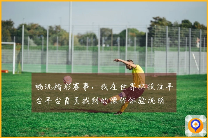 畅玩精彩赛事，我在世界杯投注平台平台首页找到的操作体验说明