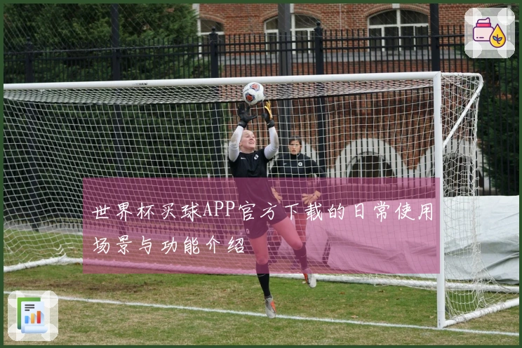 世界杯买球APP官方下载的日常使用场景与功能介绍
