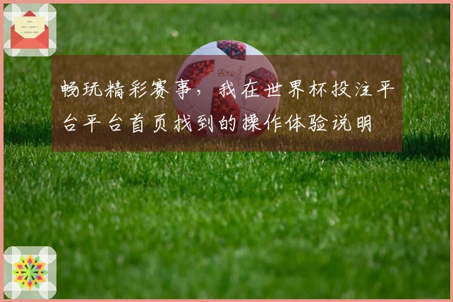 畅玩精彩赛事，我在世界杯投注平台平台首页找到的操作体验说明