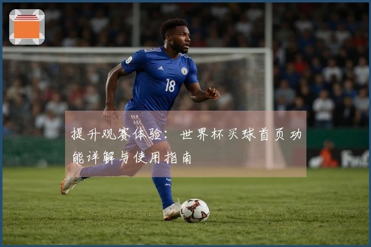 提升观赛体验：世界杯买球首页功能详解与使用指南