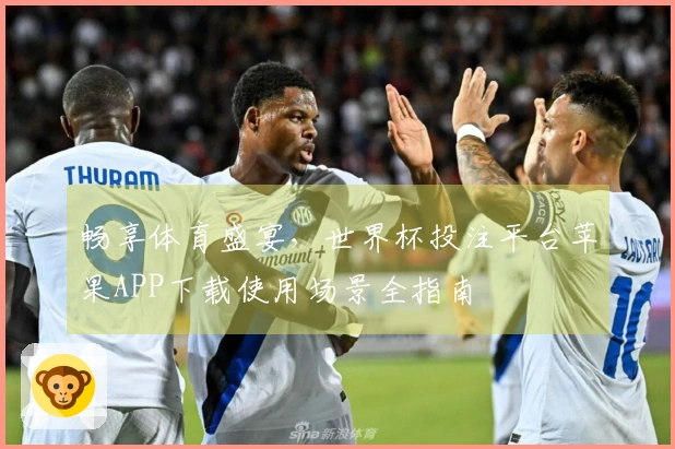 畅享体育盛宴，世界杯投注平台苹果APP下载使用场景全指南
