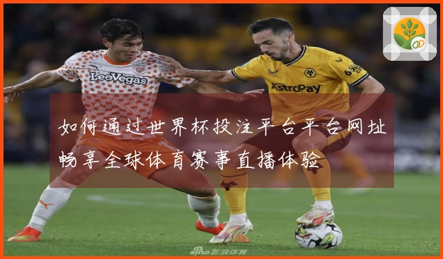 如何通过世界杯投注平台平台网址畅享全球体育赛事直播体验