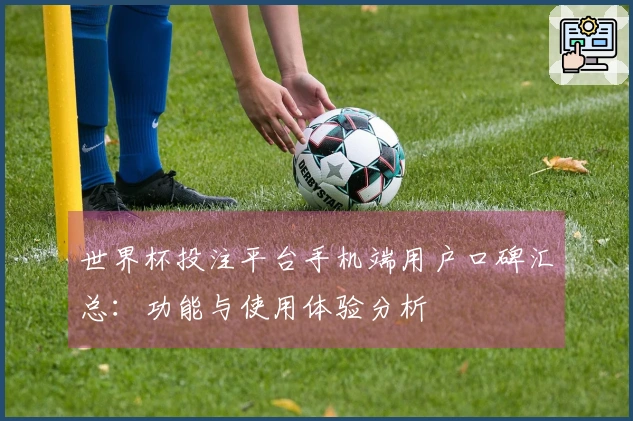 世界杯投注平台手机端用户口碑汇总：功能与使用体验分析