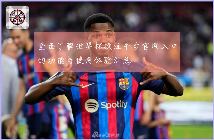 全面了解世界杯投注平台官网入口的功能与使用体验汇总