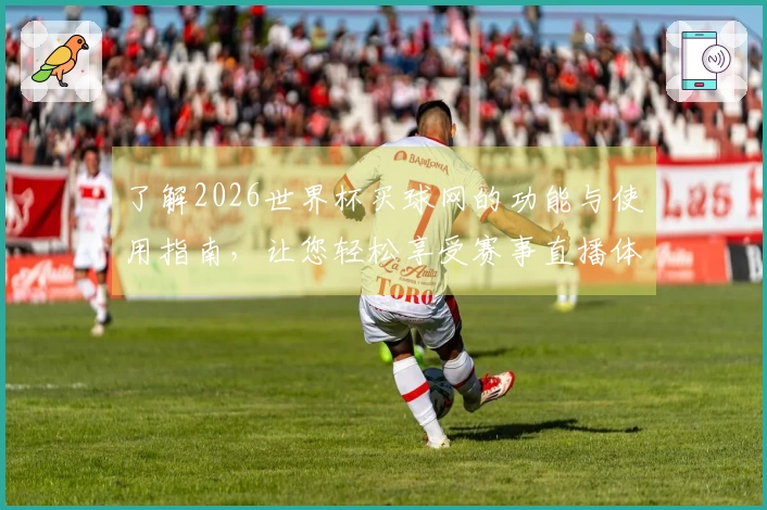 了解2026世界杯买球网的功能与使用指南，让您轻松享受赛事直播体验