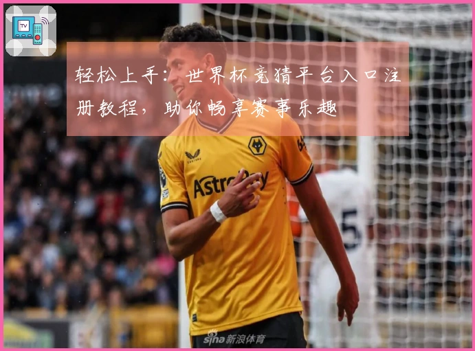轻松上手：世界杯竞猜平台入口注册教程，助你畅享赛事乐趣
