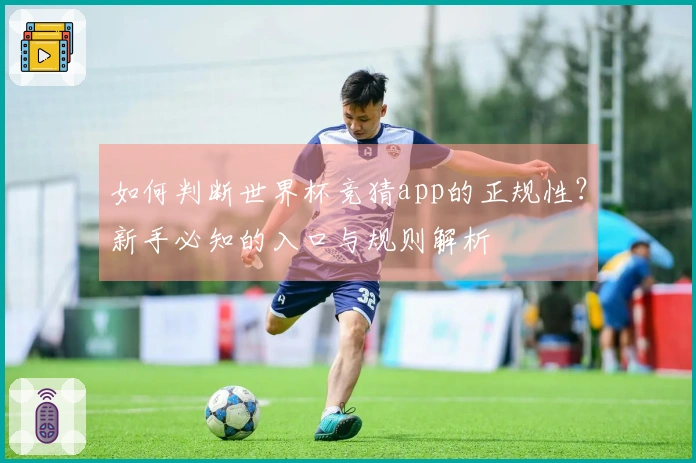 如何判断世界杯竞猜app的正规性?新手必知的入口与规则解析