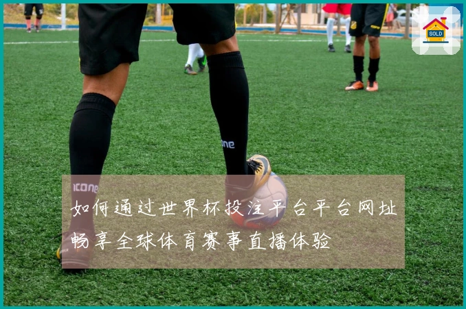 如何通过世界杯投注平台平台网址畅享全球体育赛事直播体验