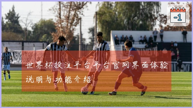 世界杯投注平台平台官网界面体验说明与功能介绍