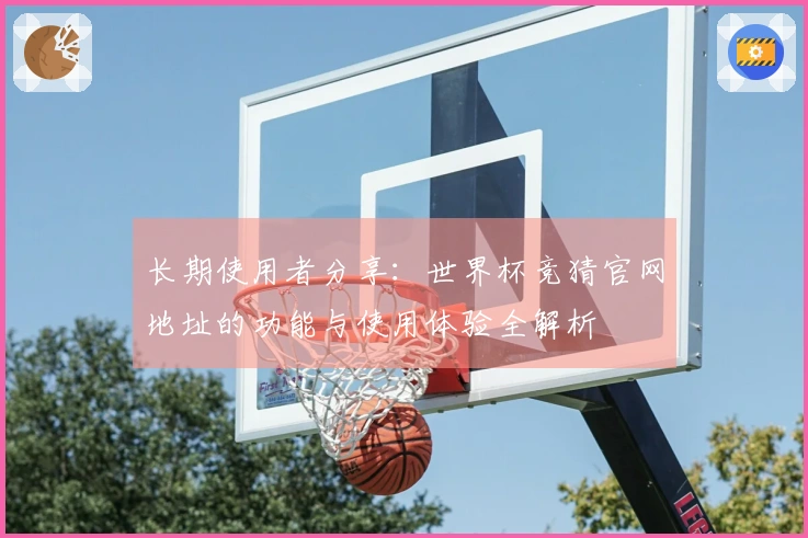 长期使用者分享：世界杯竞猜官网地址的功能与使用体验全解析