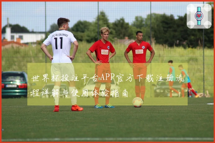 世界杯投注平台APP官方下载注册流程详解与使用体验指南