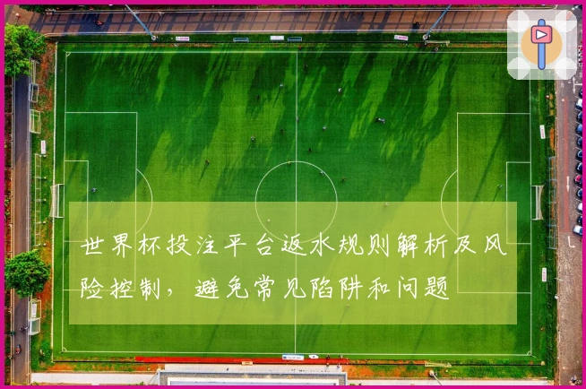 世界杯投注平台返水规则解析及风险控制，避免常见陷阱和问题