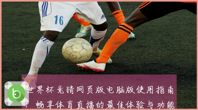 世界杯竞猜网页版电脑版使用指南:畅享体育直播的最佳体验与功能介绍