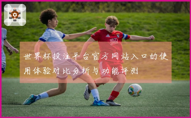 世界杯投注平台官方网站入口的使用体验对比分析与功能评测